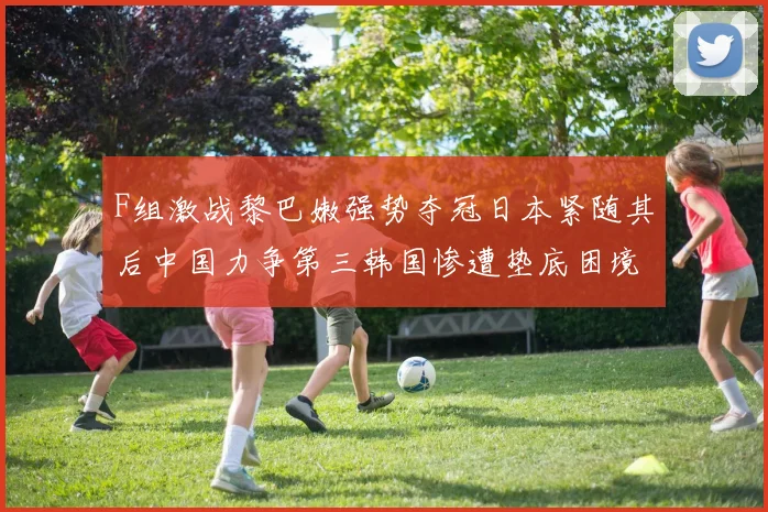 F组激战黎巴嫩强势夺冠日本紧随其后中国力争第三韩国惨遭垫底困境